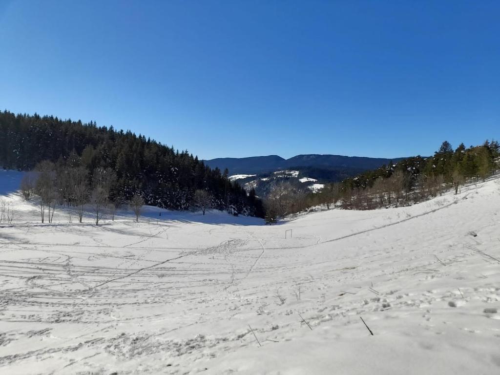 Les Glovettes Villard De Lans المظهر الخارجي الصورة