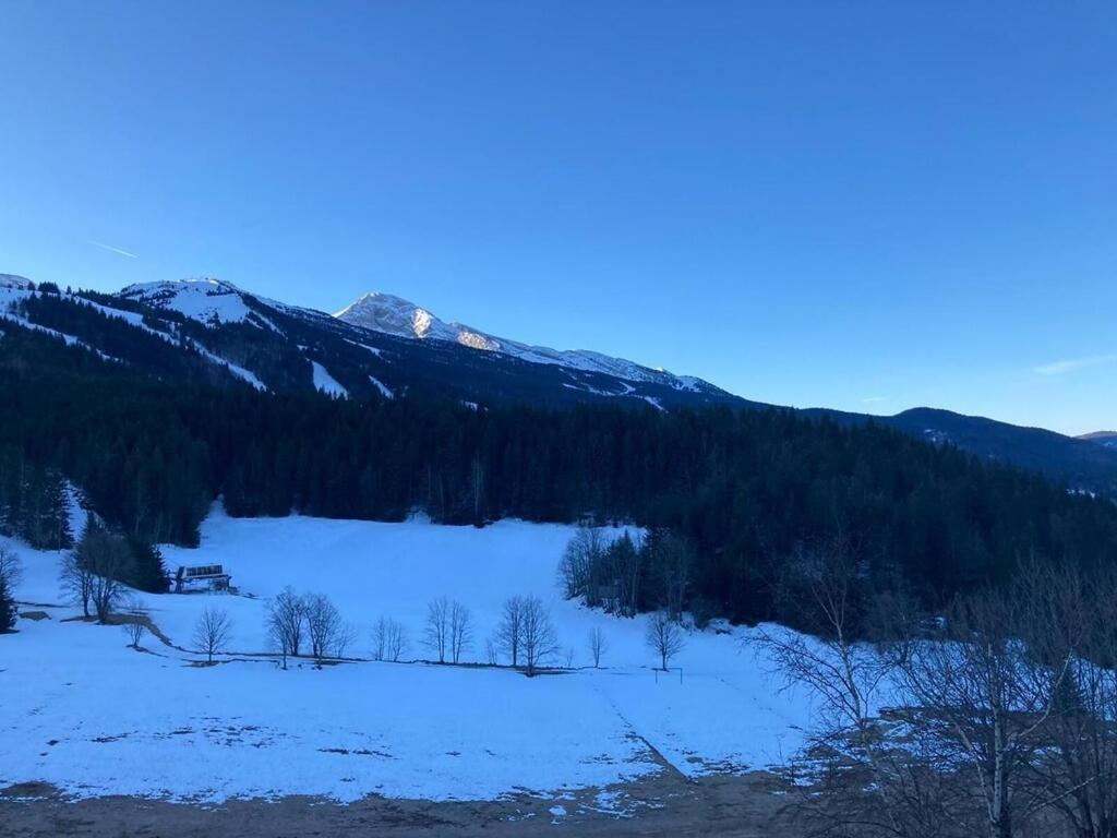 Les Glovettes Villard De Lans المظهر الخارجي الصورة